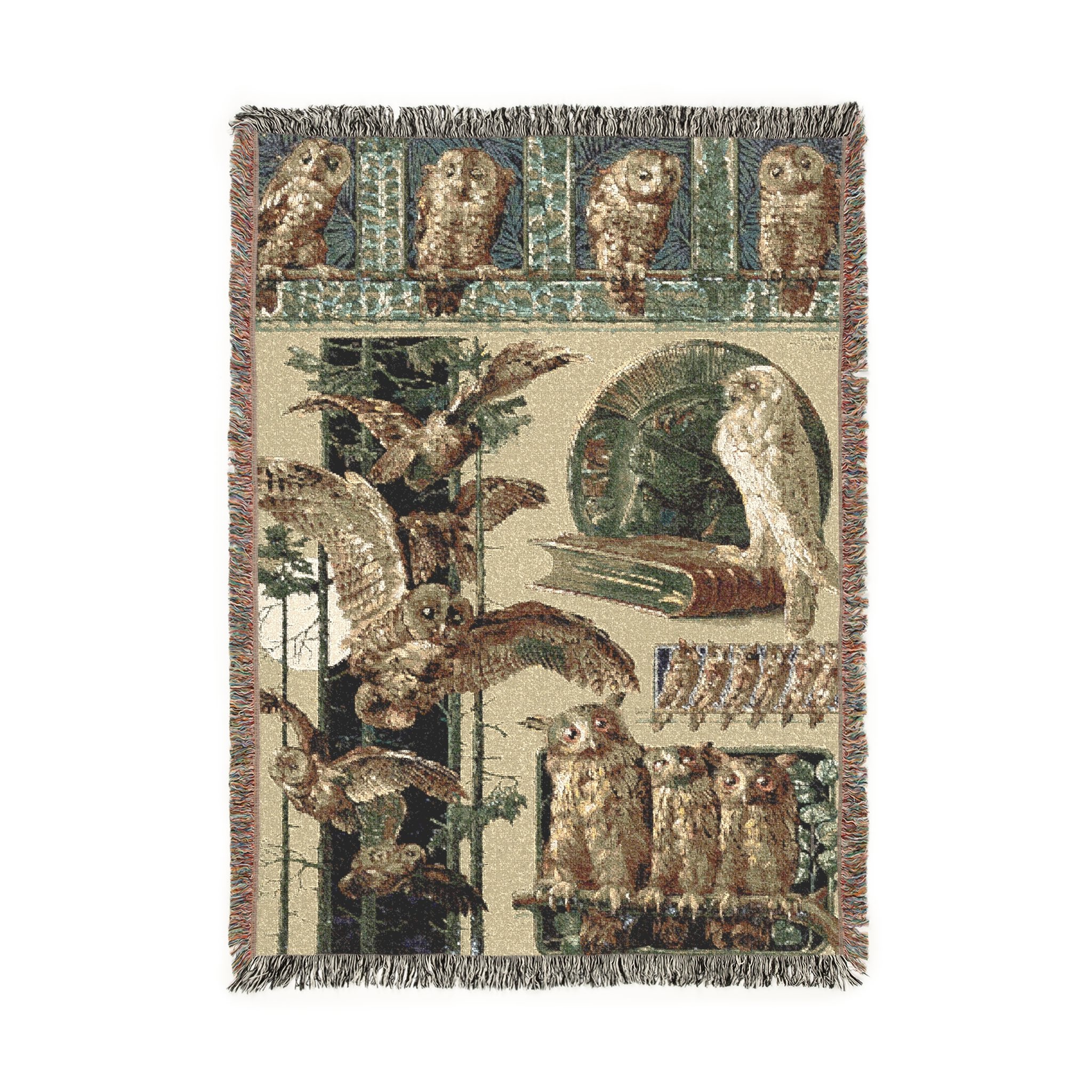 the monarch owl product thumbnail image the monarch owl product thumbnail image