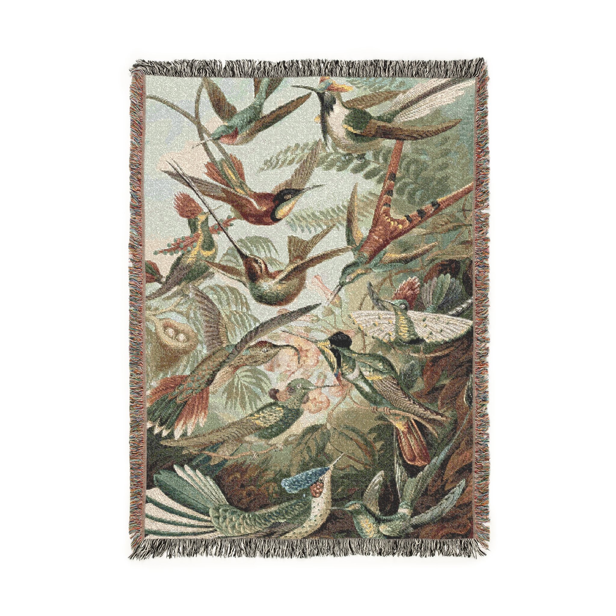 tallows and hummingbirds