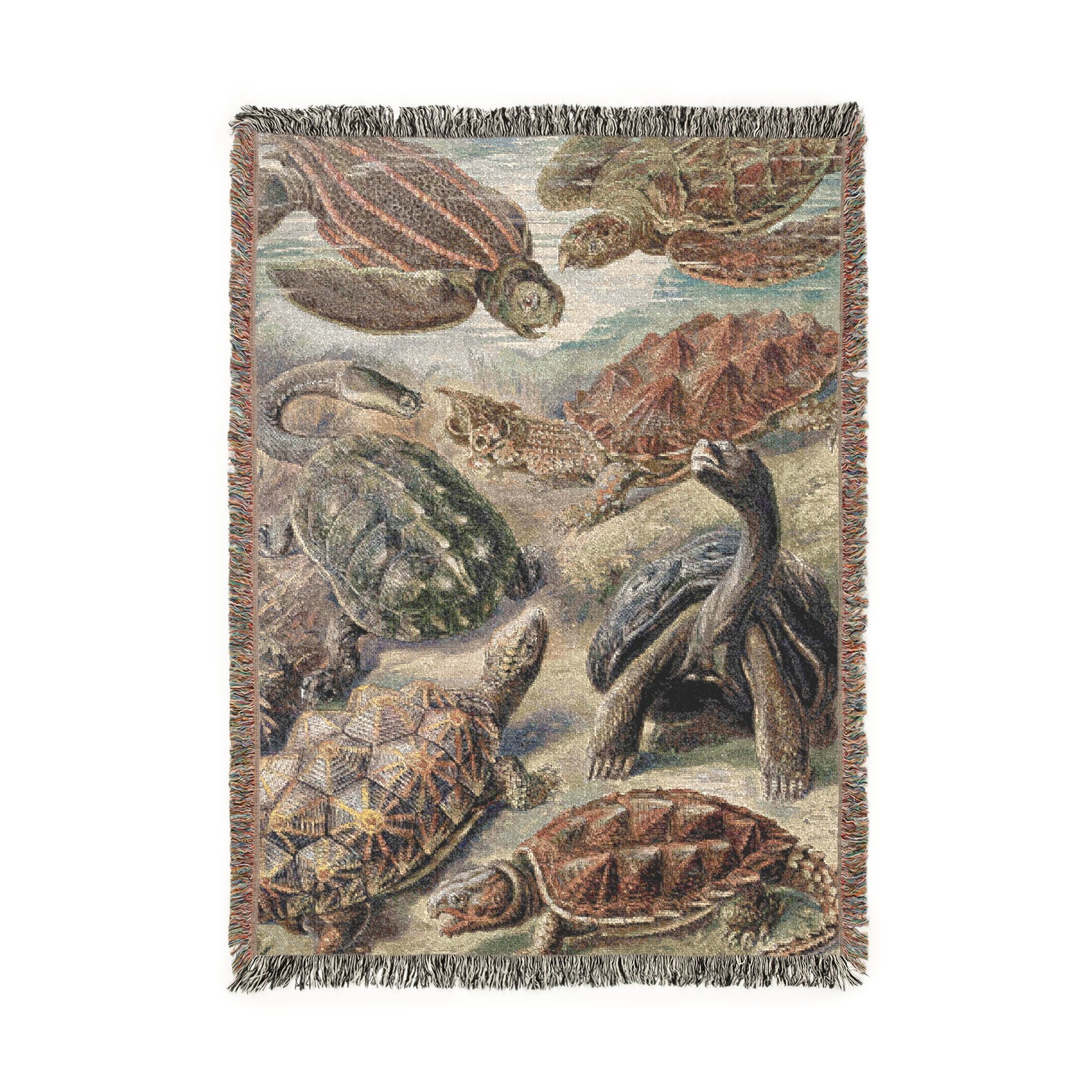 tortoise purpose product thumbnail image