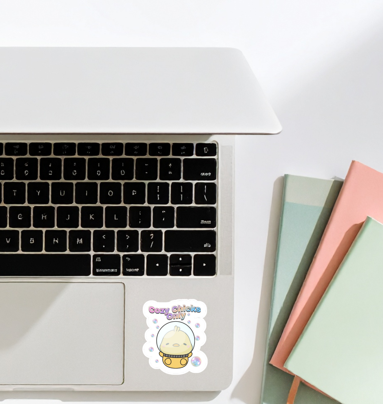 Cozy Chicks Only Sticker product thumbnail image Cozy Chicks Only Sticker product thumbnail image