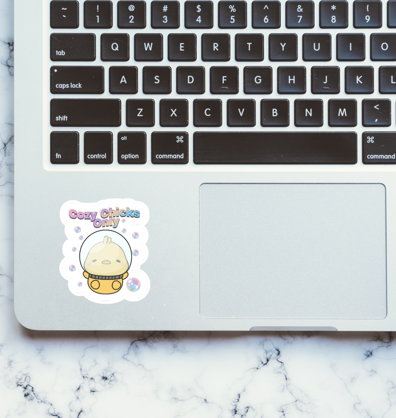 Cozy Chicks Only Sticker product thumbnail image Cozy Chicks Only Sticker product thumbnail image