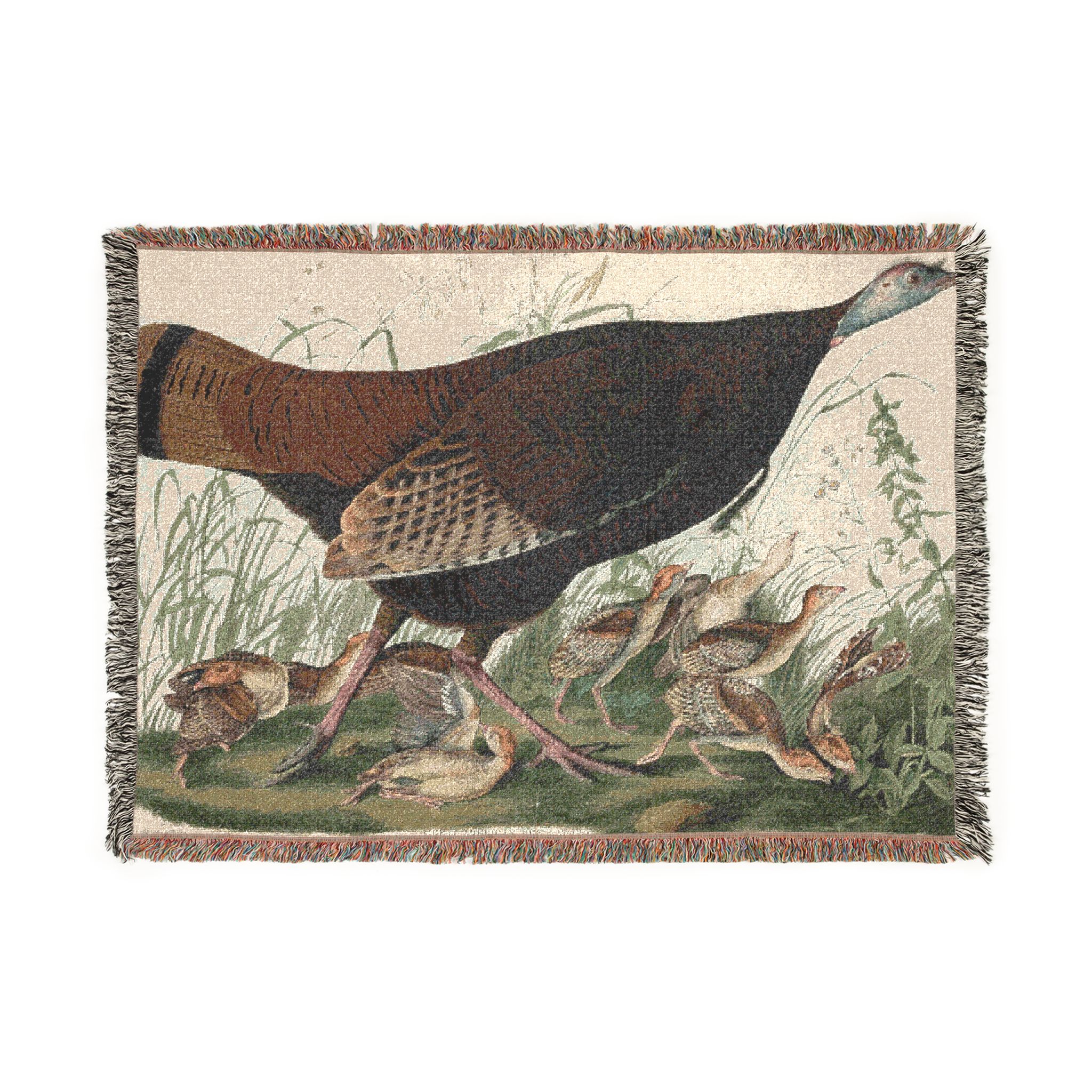 mama hen &amp; henlets