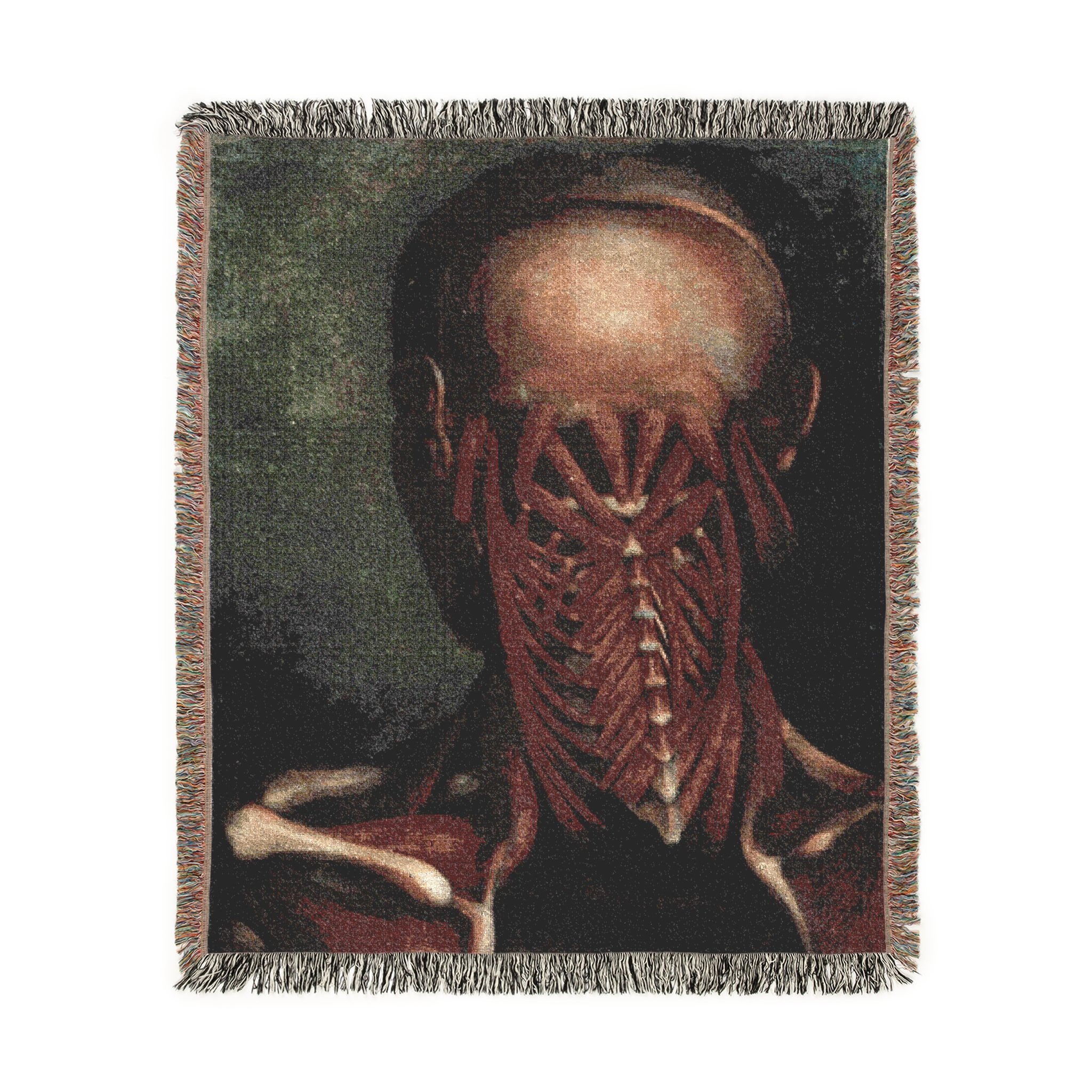 muscular anatomy product thumbnail image muscular anatomy product thumbnail image