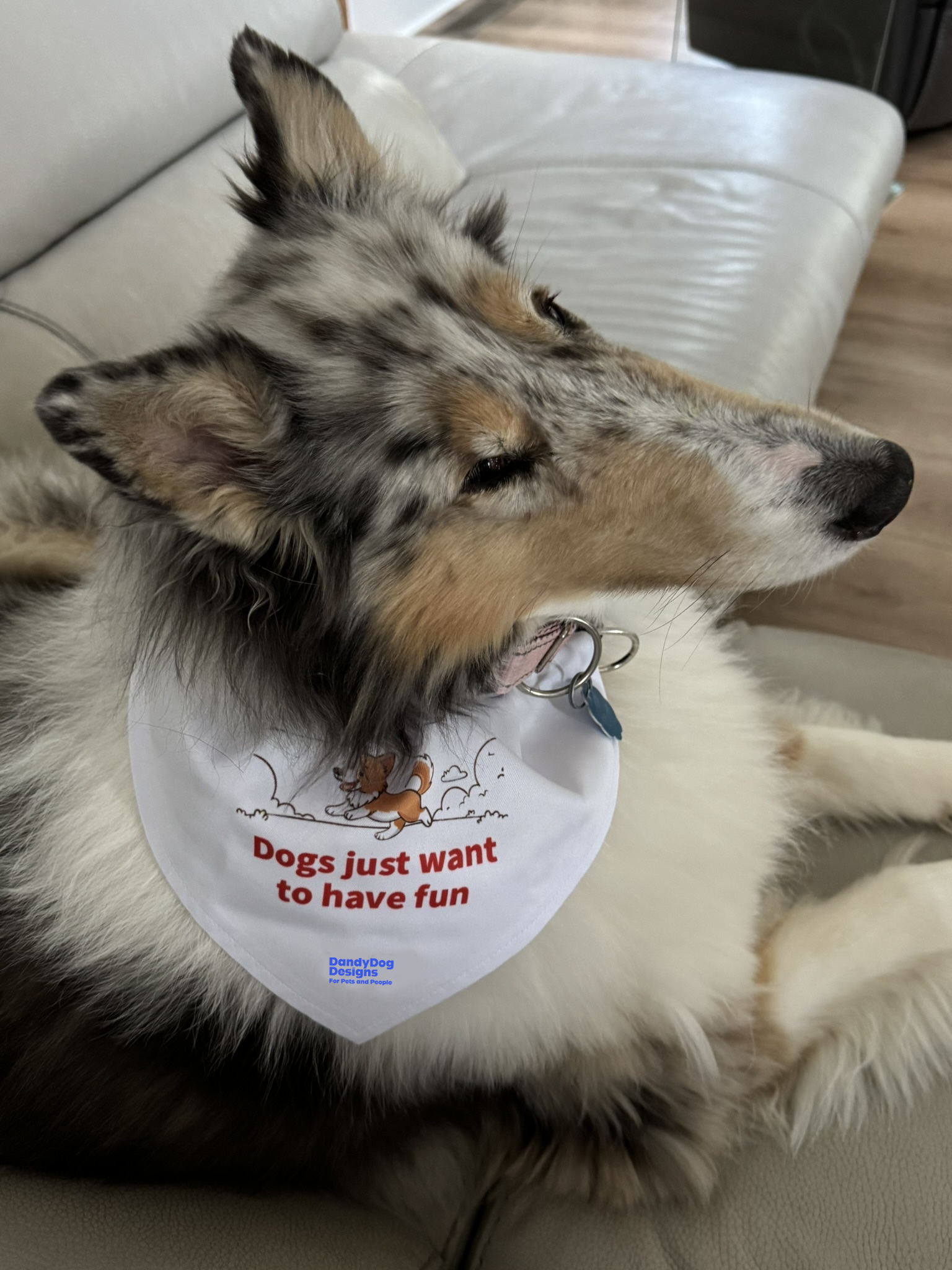 Playful Clip-on Pet Collar with Bandana, Fun Dog Accessory, Pet Celebration Gift, Dog Lovers Fashion, Cute Dog Collar with Bandana, Funny Pet Apparel