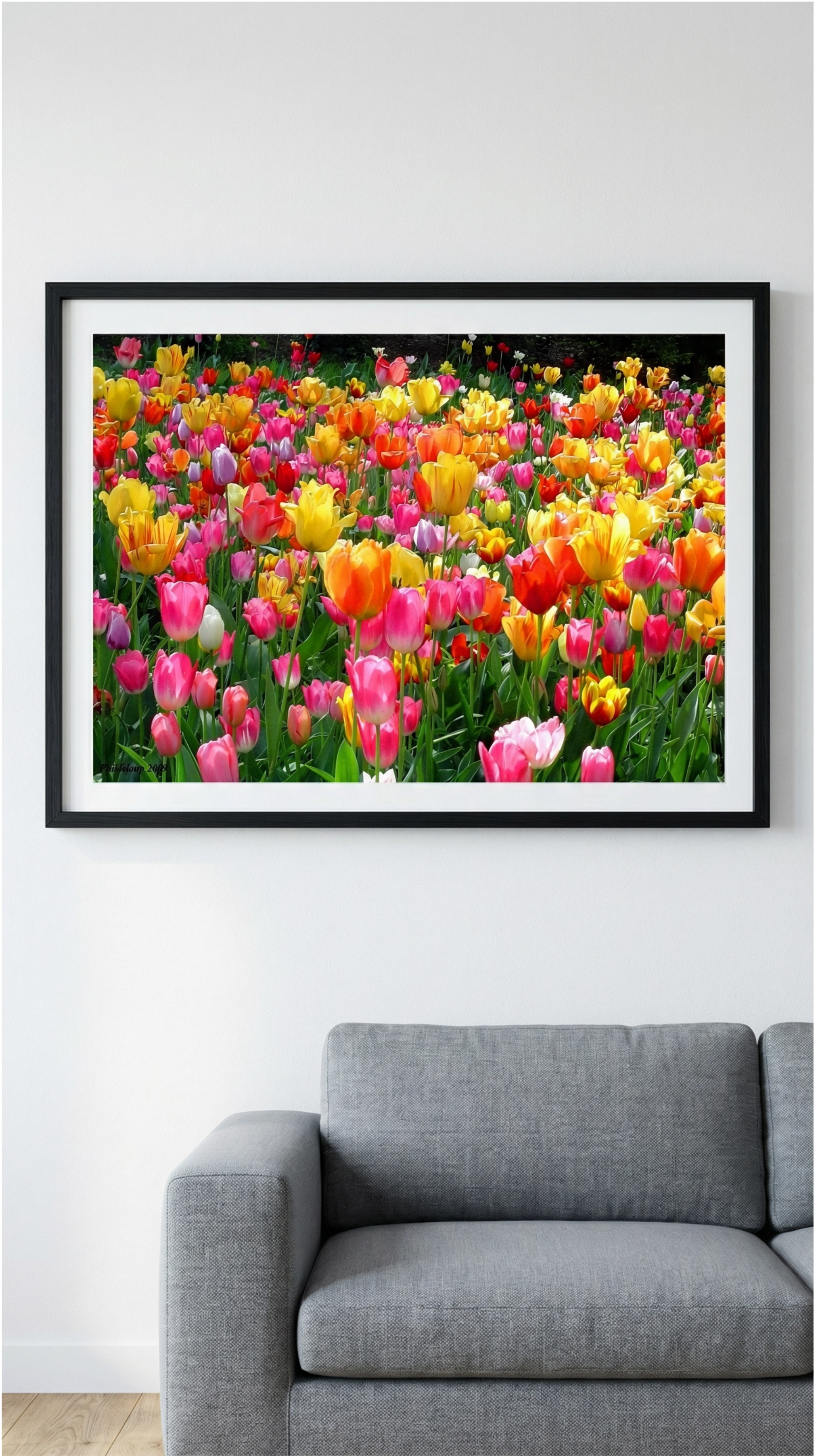 Spring Symphony - Vibrant Tulip Garden Puzzle (Framed Display Mockup) product thumbnail image Spring Symphony - Vibrant Tulip Garden Puzzle (Framed Display Mockup) product thumbnail image