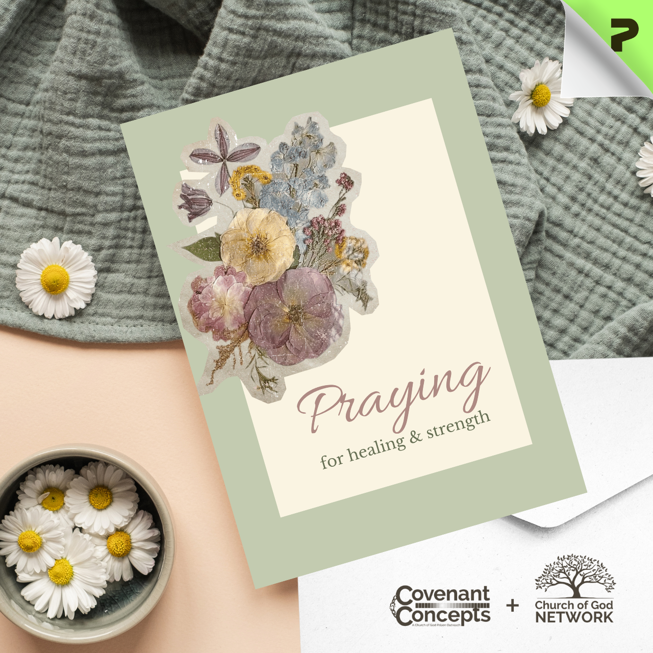 Healing & Comfort 03 - CGN & CC Collaboration (1/10/30/50 pcs) product thumbnail image Healing & Comfort 03 - CGN & CC Collaboration (1/10/30/50 pcs) product thumbnail image