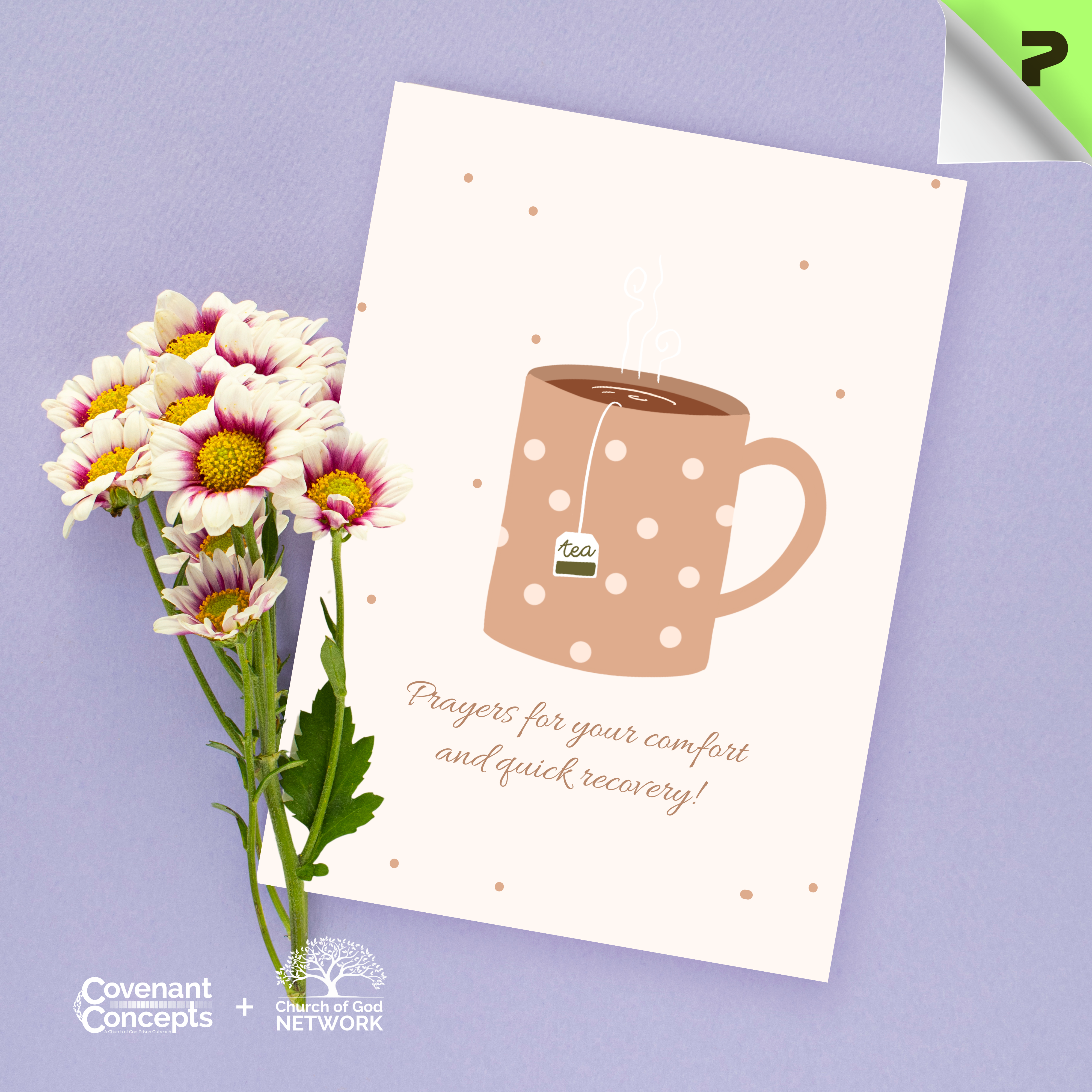 Healing &amp; Comfort 02 - CGN &amp; CC Collaboration (1/10/30/50 pcs) product thumbnail image