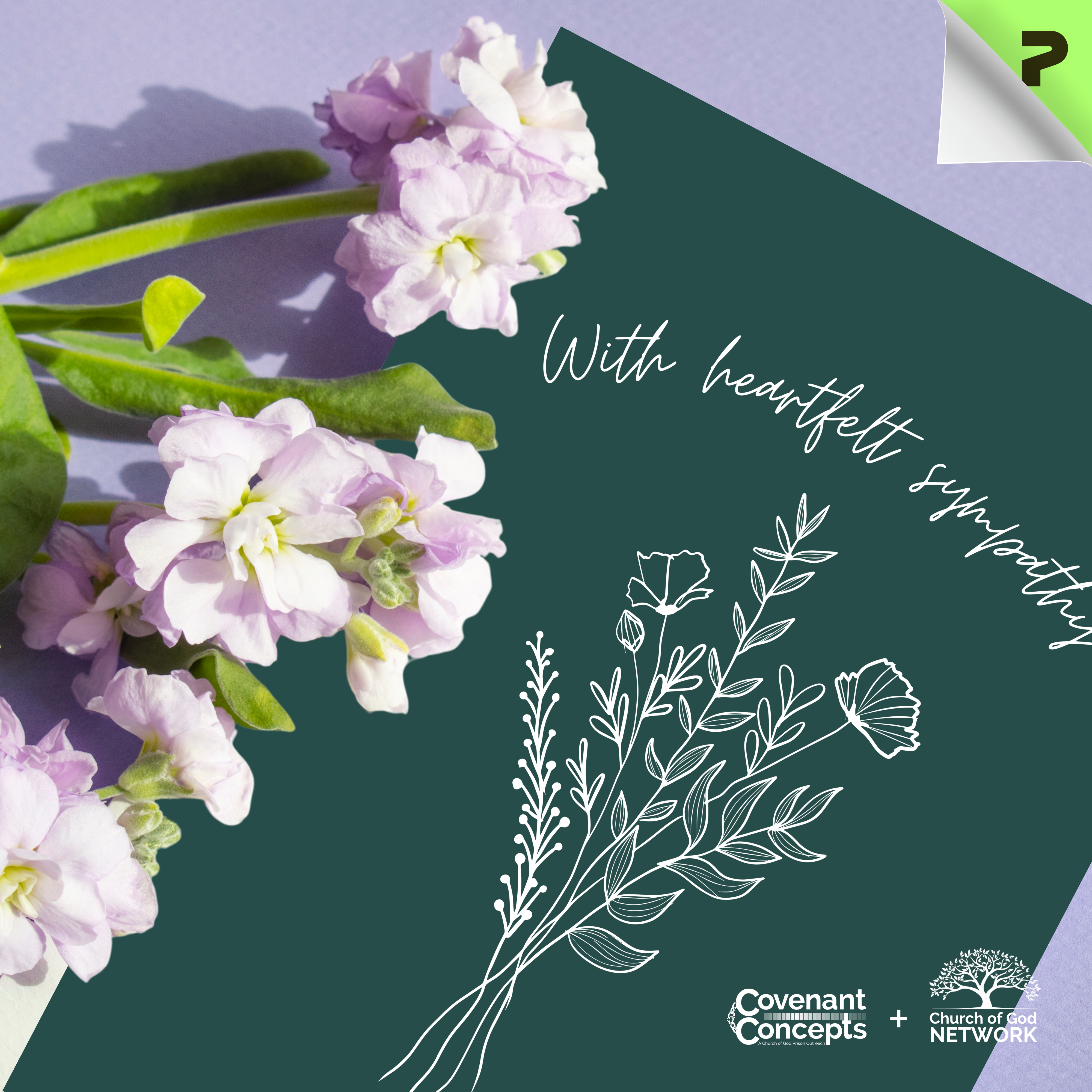 Sympathy 02 - CGN & CC Collaboration (1/10/30/50 pcs) product thumbnail image Sympathy 02 - CGN & CC Collaboration (1/10/30/50 pcs) product thumbnail image