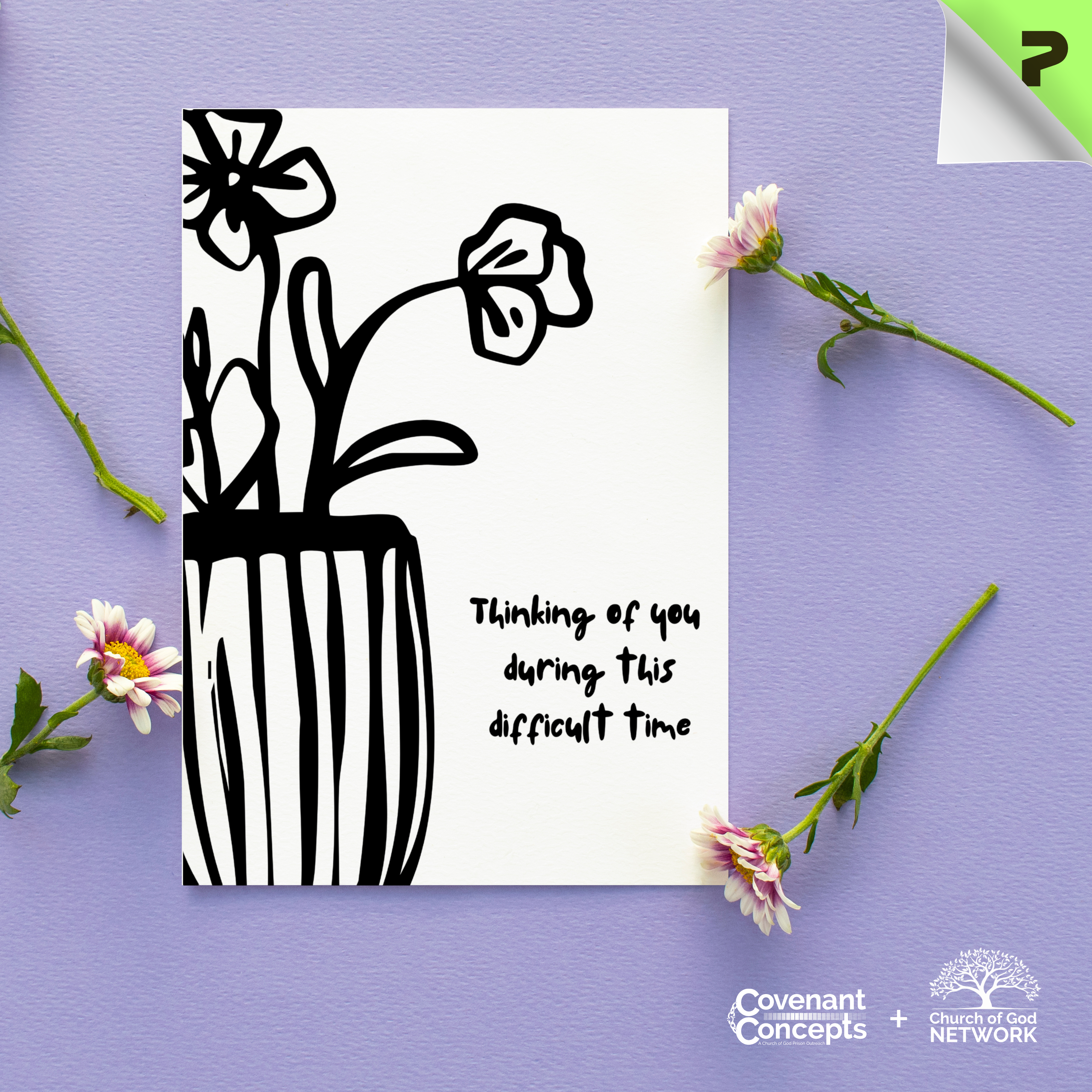 Sympathy 03 - CGN & CC Collaboration (1/10/30/50 pcs) product thumbnail image Sympathy 03 - CGN & CC Collaboration (1/10/30/50 pcs) product thumbnail image