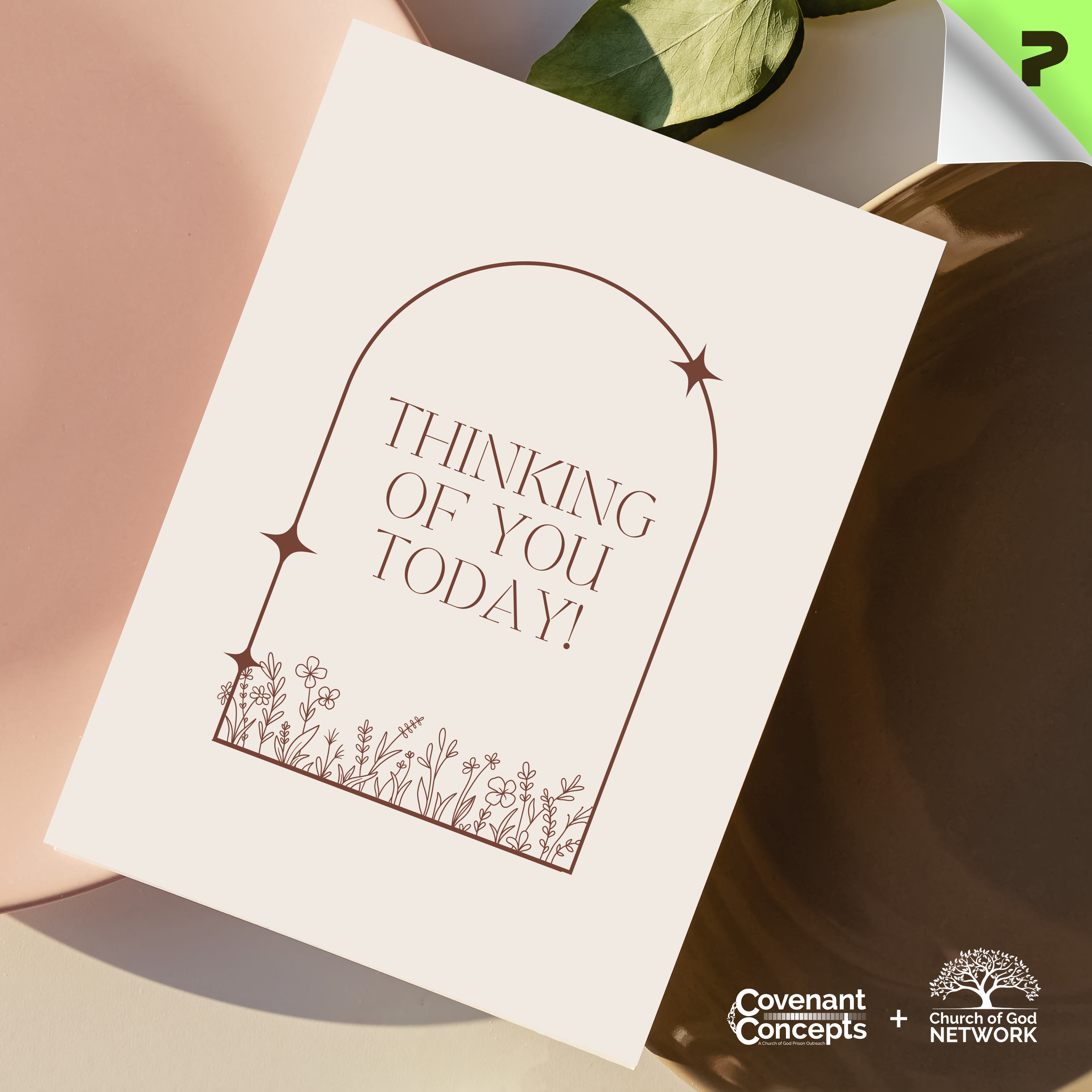 Thinking of You 02 - CGN &amp; CC Collaboration (1/10/30/50 pcs)