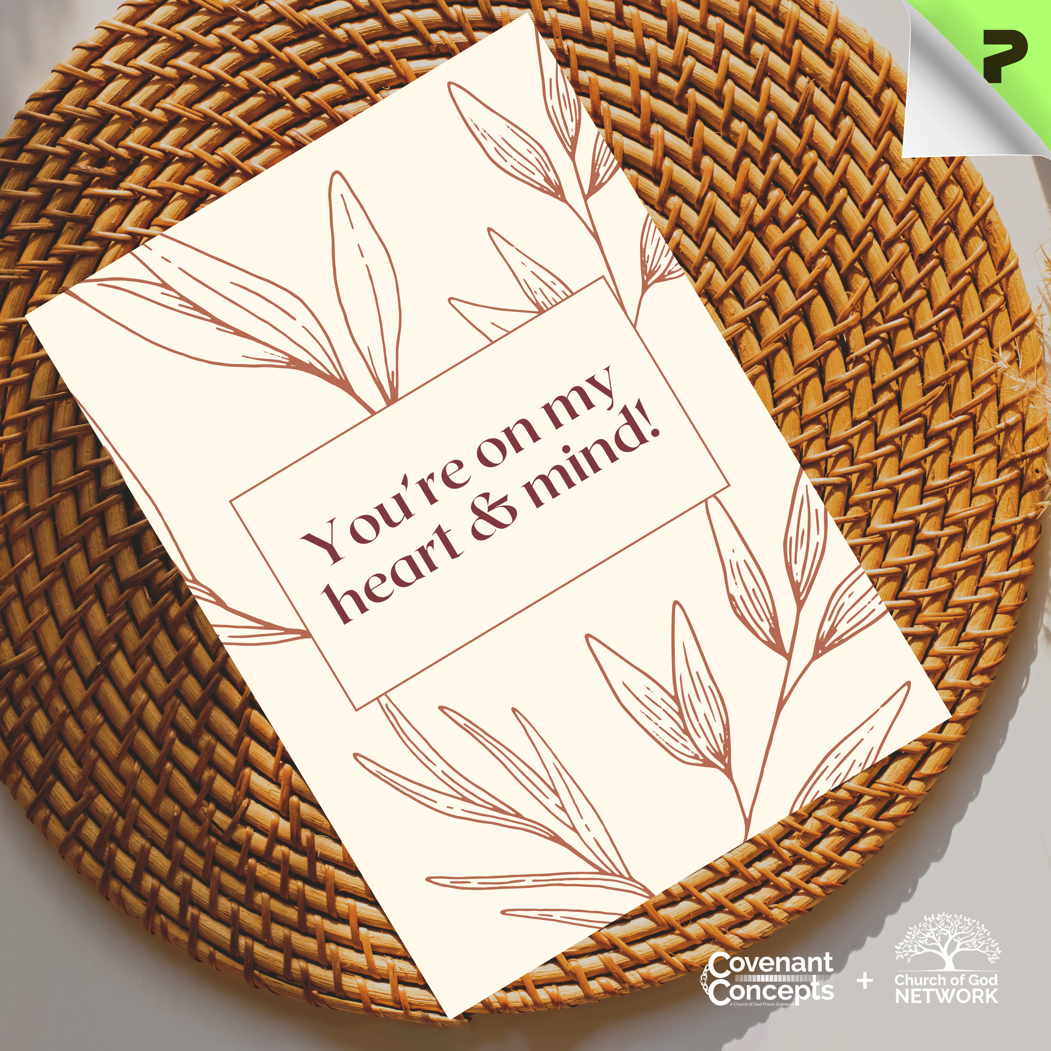 Thinking of You 03 - CGN &amp; CC Collaboration (1/10/30/50 pcs) product thumbnail image