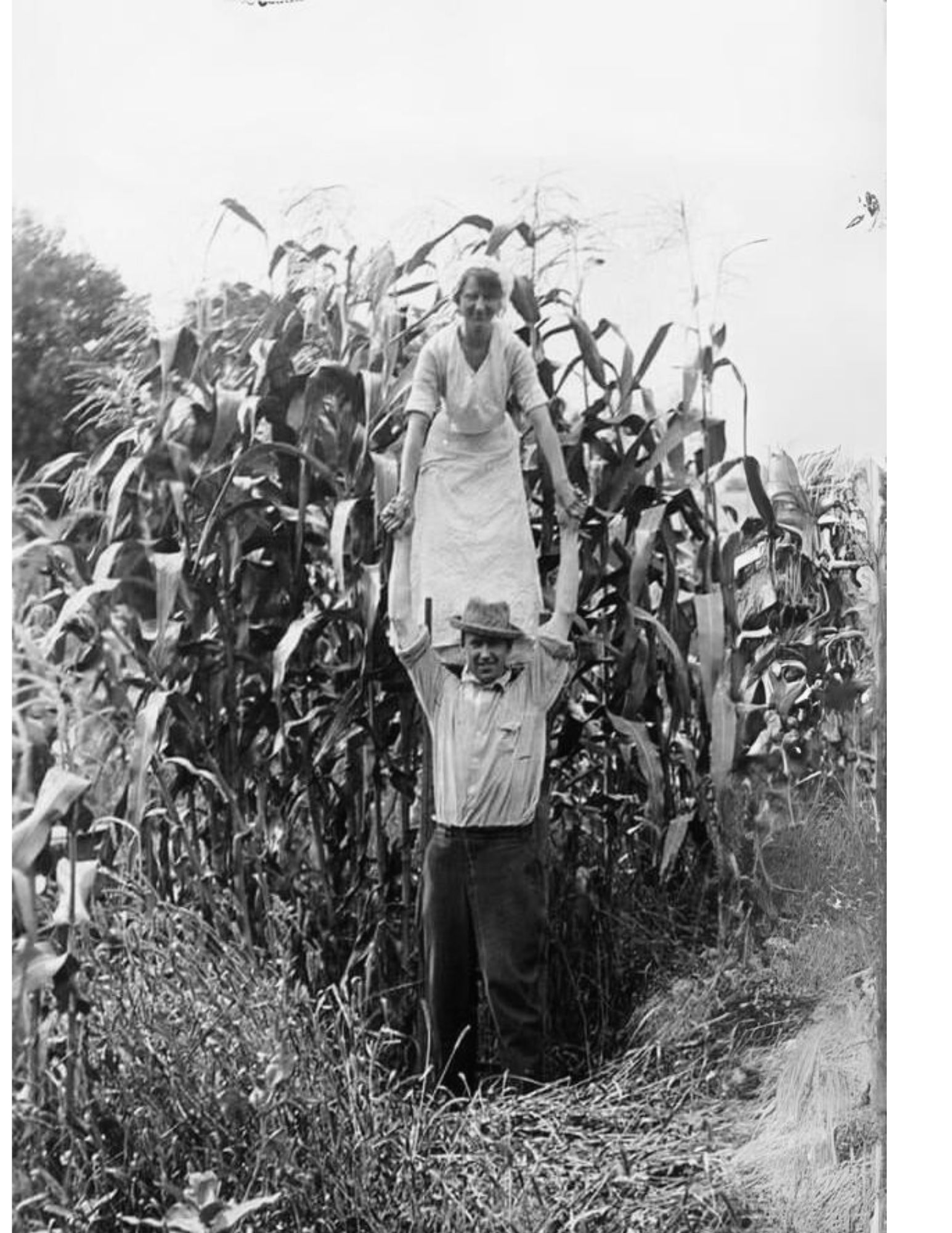 Fine Art Poster — “The Good Corn Year” Vintage Farm Couple Black & White Print product thumbnail image Fine Art Poster — “The Good Corn Year” Vintage Farm Couple Black & White Print product thumbnail image