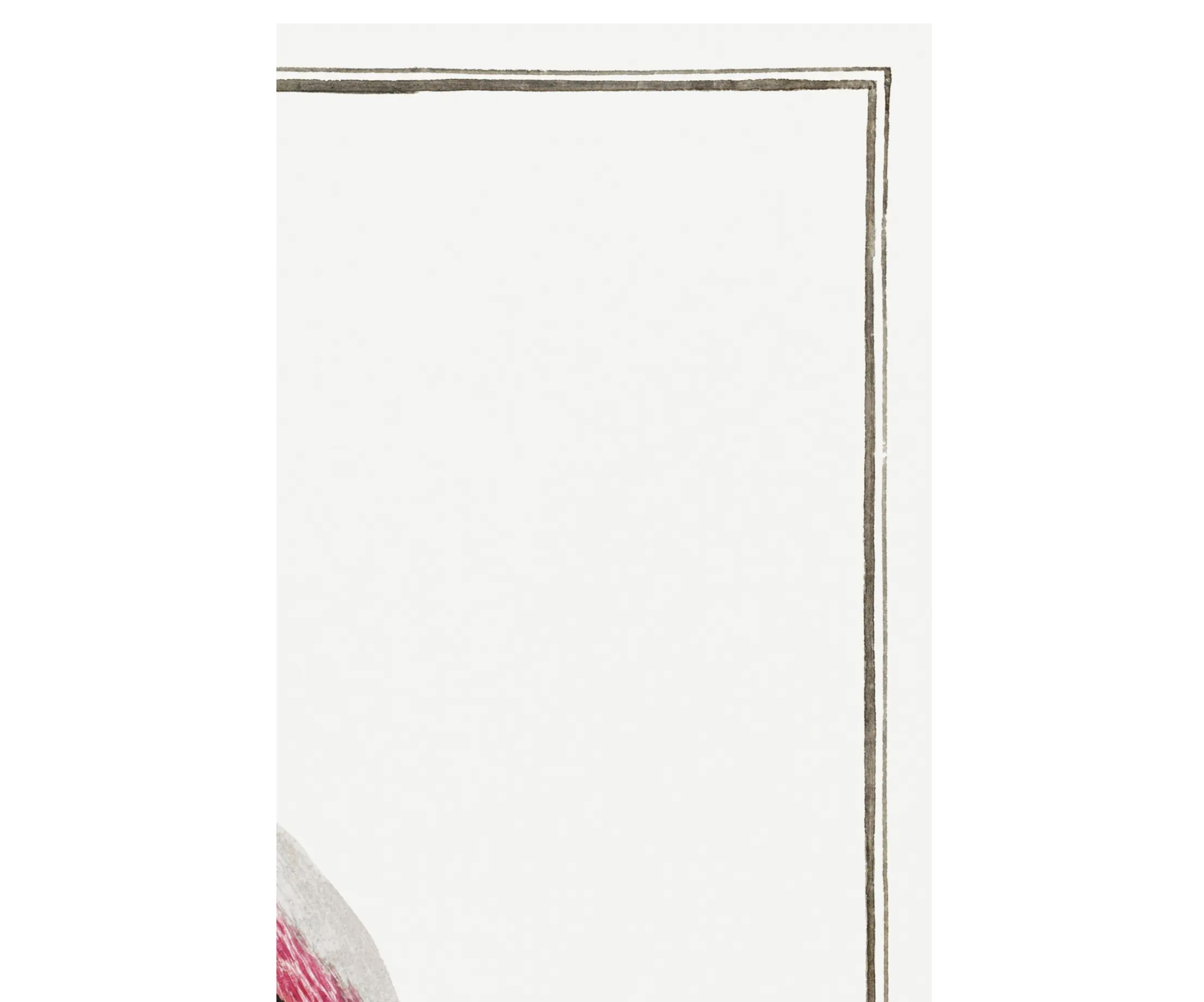 Greater Flamingo by Robert Jacob Gordon, Vintage Art Print Reproduction, 24" × 36" product thumbnail image