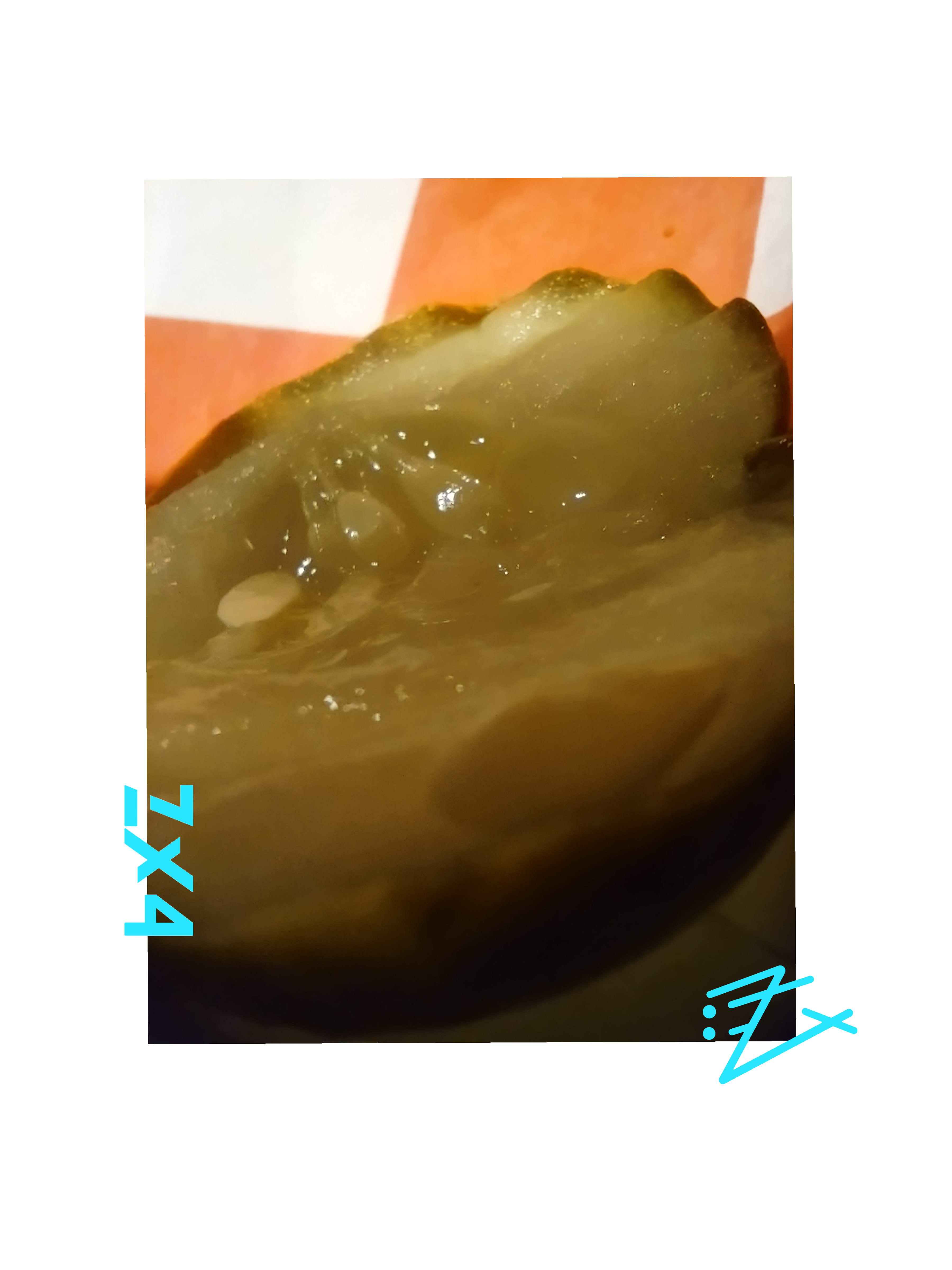 Pickle Photo T-Shirt | Vintage Pickle Photograph Tee product thumbnail image Pickle Photo T-Shirt | Vintage Pickle Photograph Tee product thumbnail image