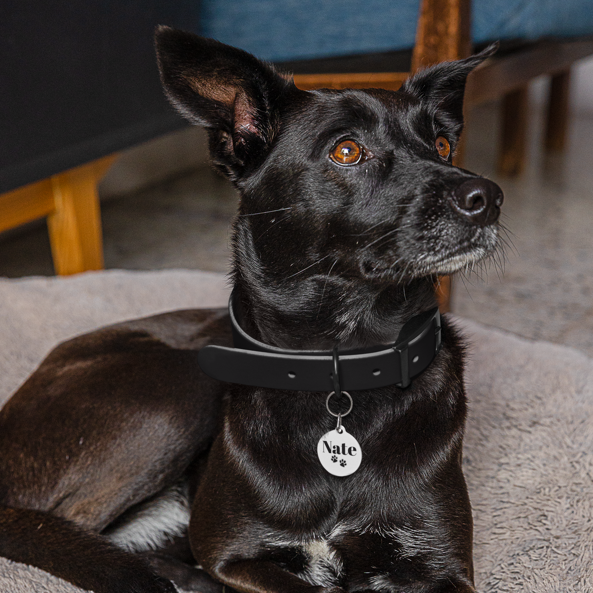 Custom Paw Print Pet Tag 