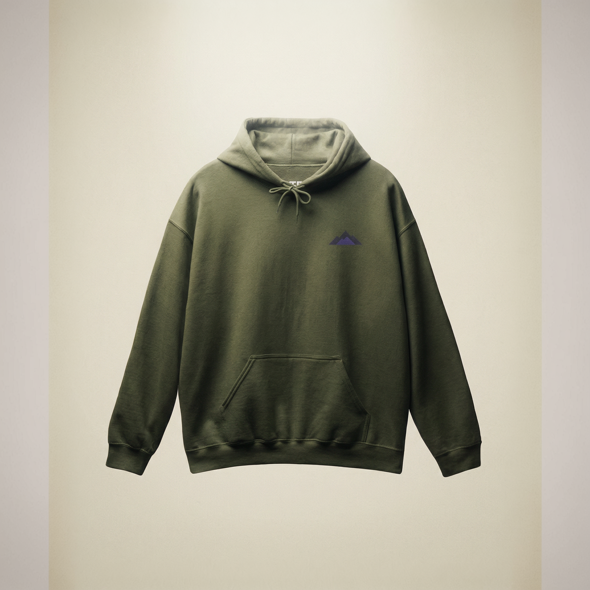 DTE Heavy Uniform Hoodie ⛰️ product thumbnail image DTE Heavy Uniform Hoodie ⛰️ product thumbnail image