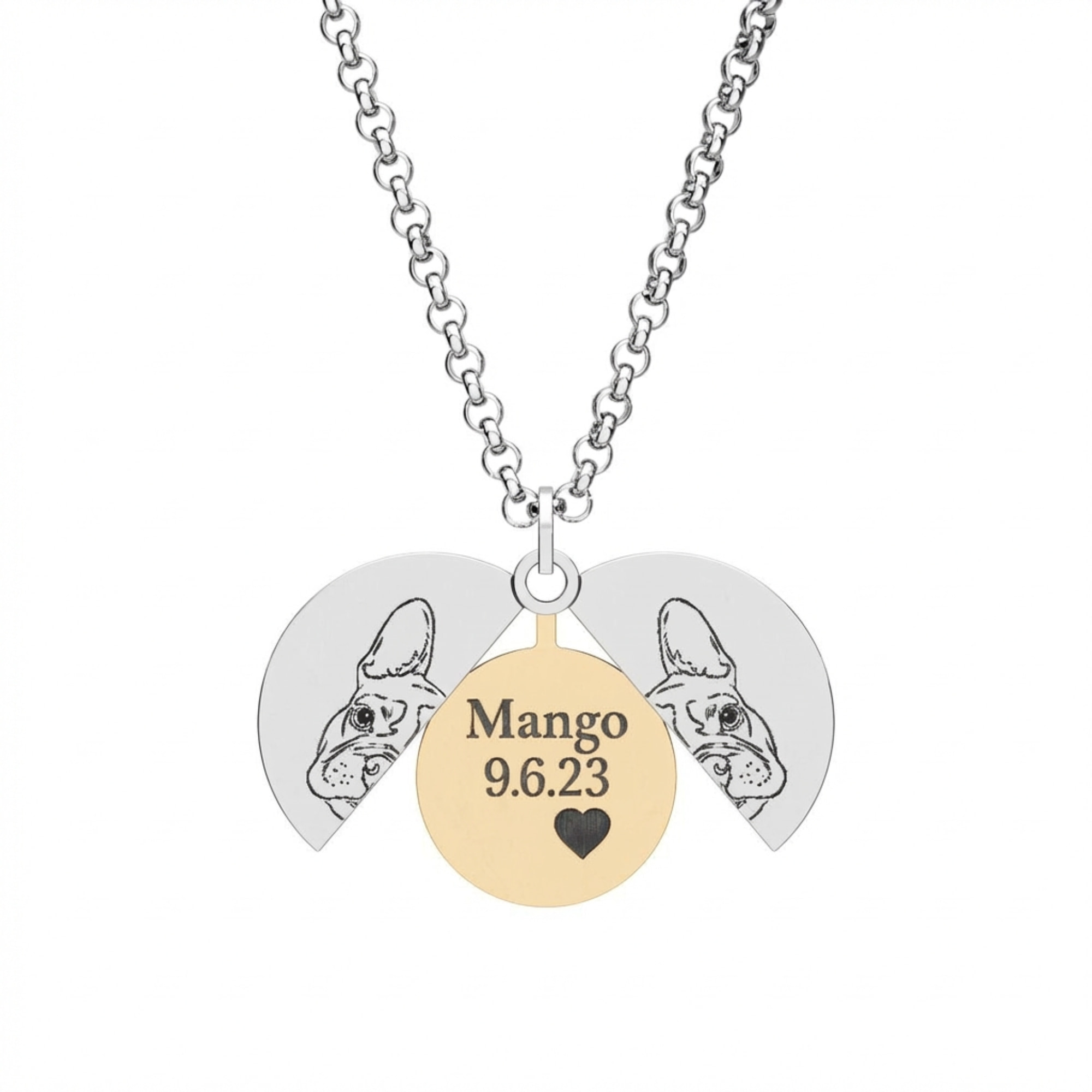 Custom Hidden Circle Necklace - Perfect Gift For Queer Pet Mom (316L Steel) product thumbnail image