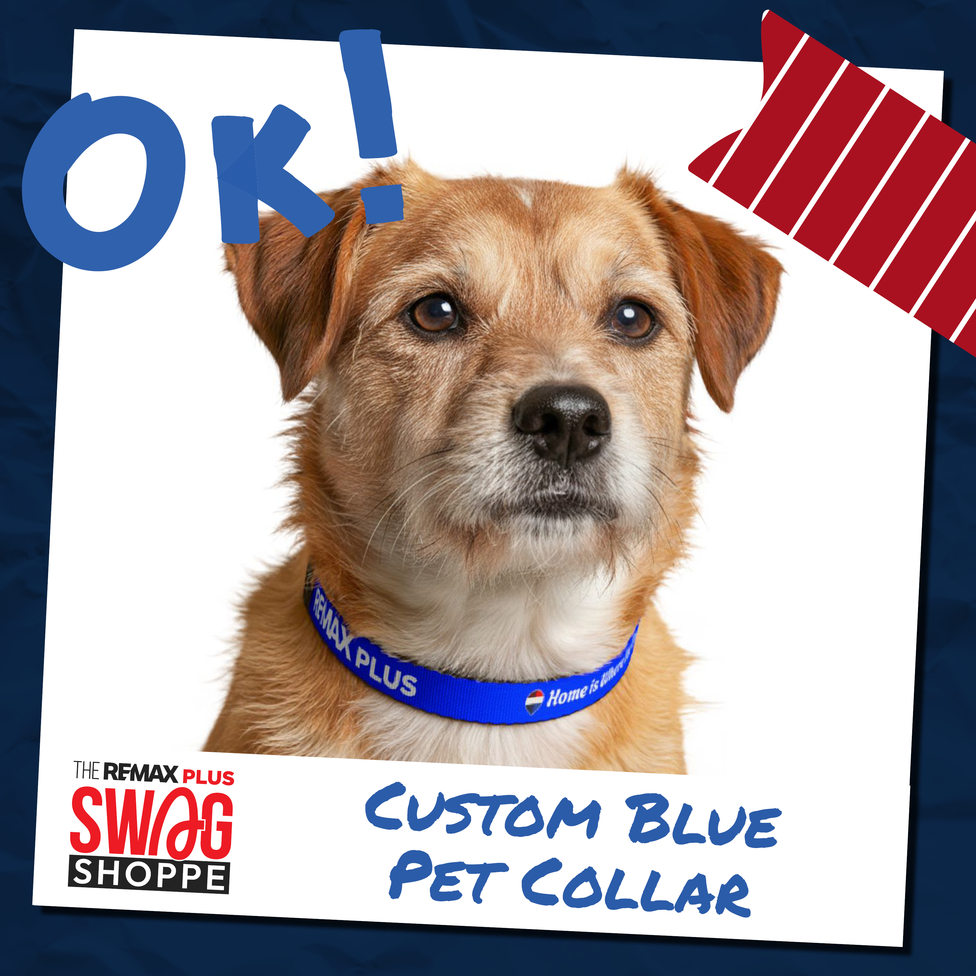Blue REMAX Plus: Clip-on Pet Collar