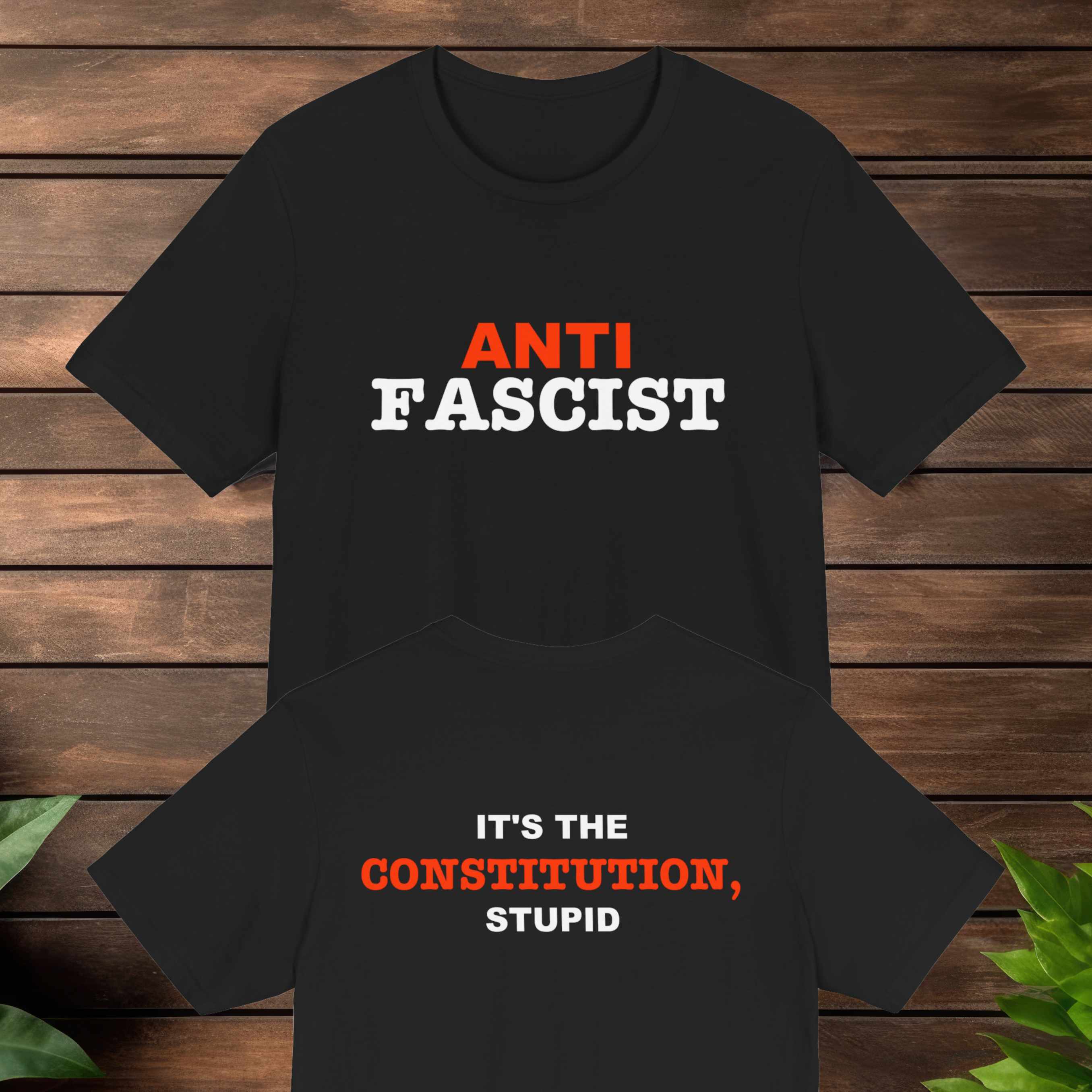 Anti-Fascist - It's the Constitution, Stupid - T-Shirt. Resistance Gear, Activist Tee, Pro-Democracy Apparel