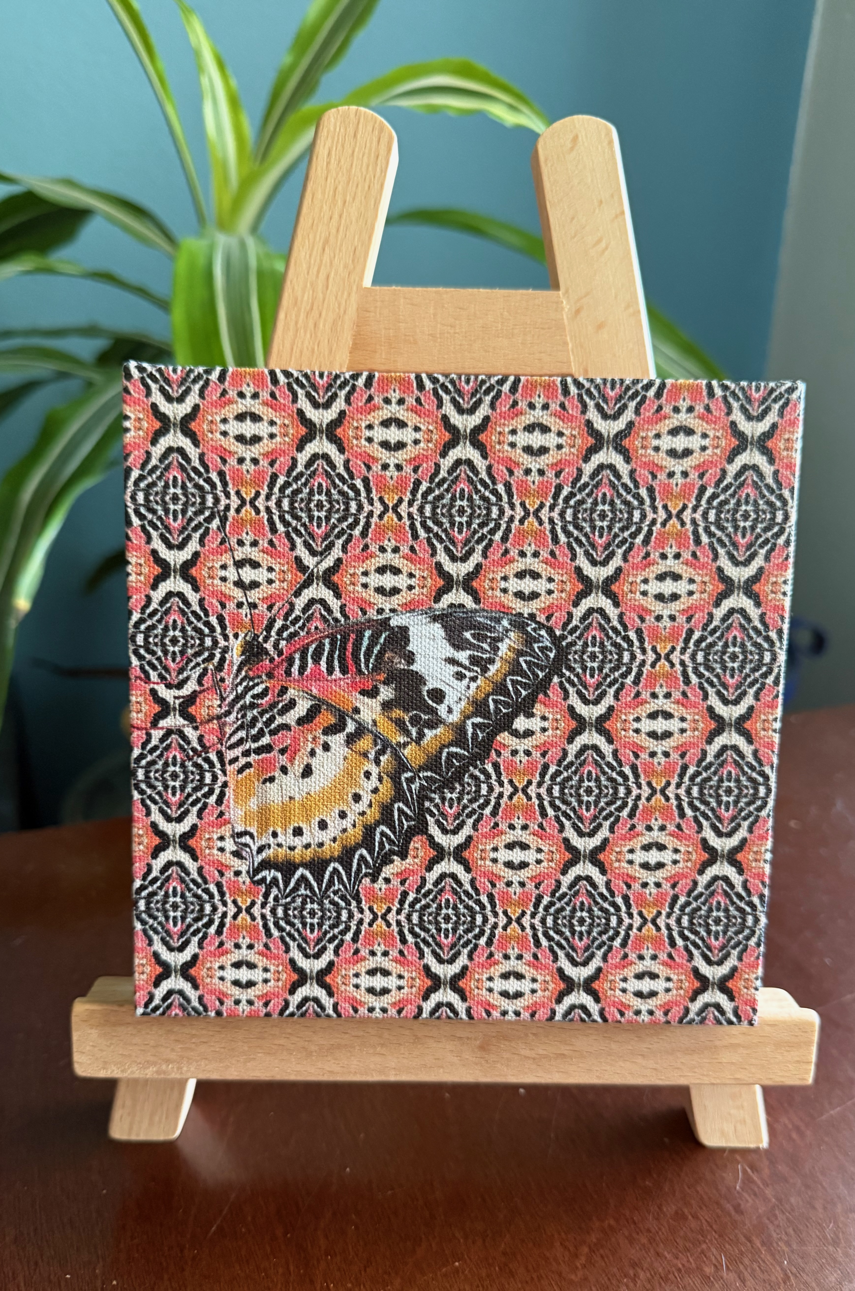 Leopard Lacewing Butterfly on Leopard Lacewing Canvas