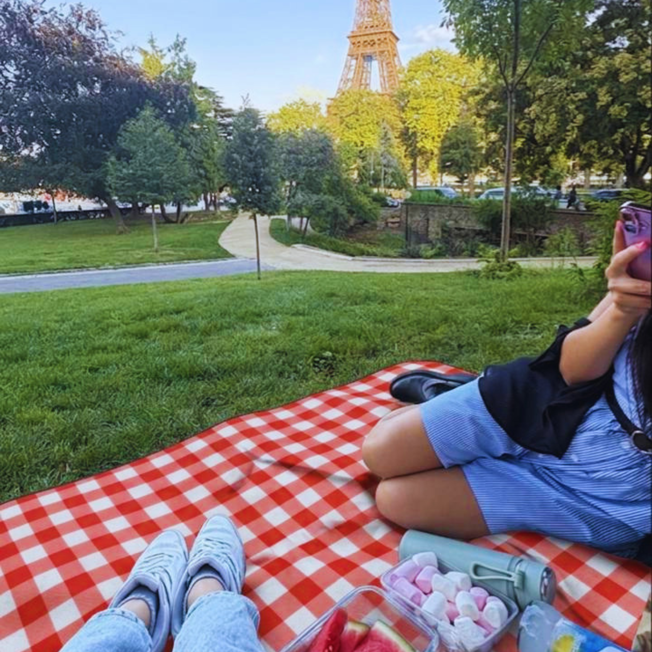 Red Plaid Picnic Blanket - Cozy Waterproof Outdoor Blanket product thumbnail image