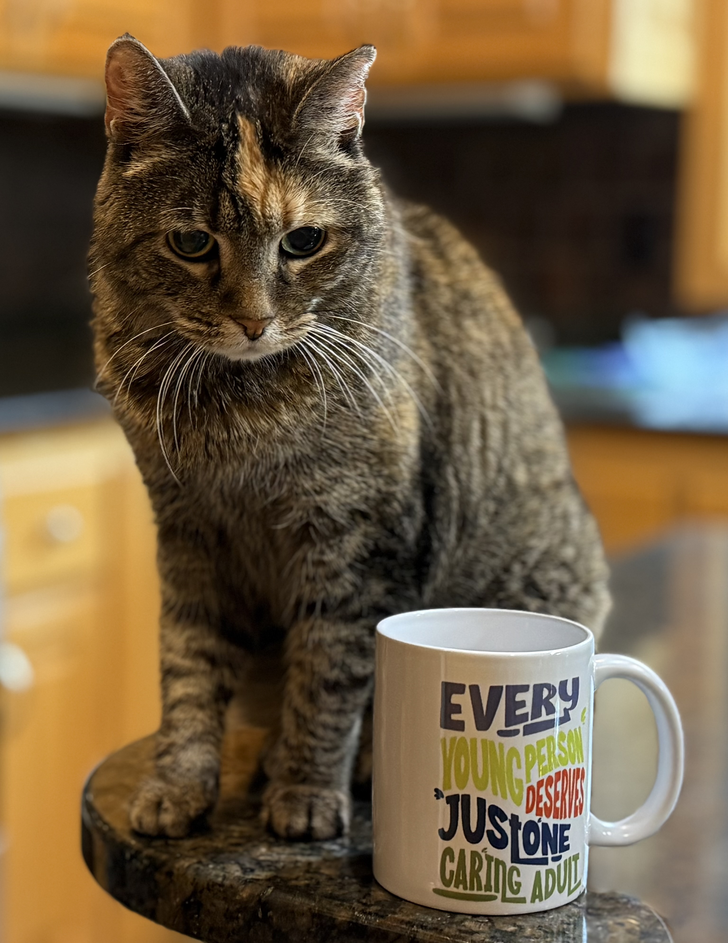 (Add Your Logo) Just One Mug product thumbnail image