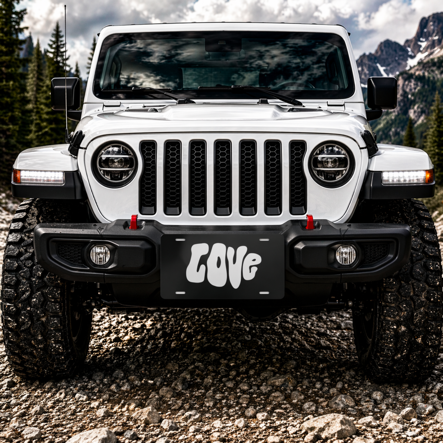 Love Novelty Front License Plate Decorative Car Accessory product thumbnail image Love Novelty Front License Plate Decorative Car Accessory product thumbnail image