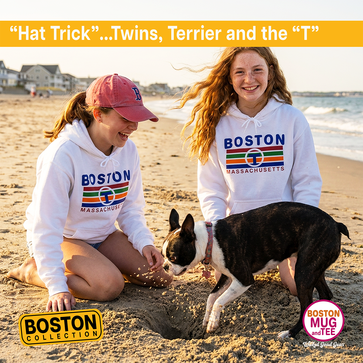 Boston "T" Subway Lines Hoodie