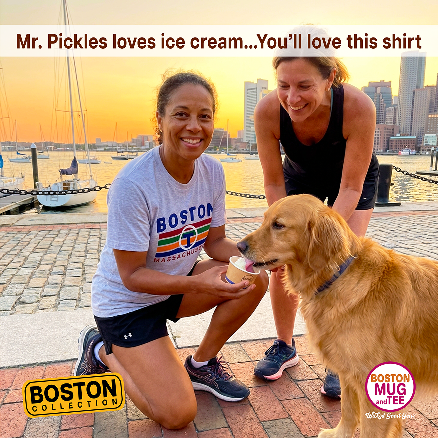 Boston "T" Subway Lines Tee Shirt, Boston Shirt, Boston Gift, Gift for her, Gift for him, Boston Grad Gift product thumbnail image