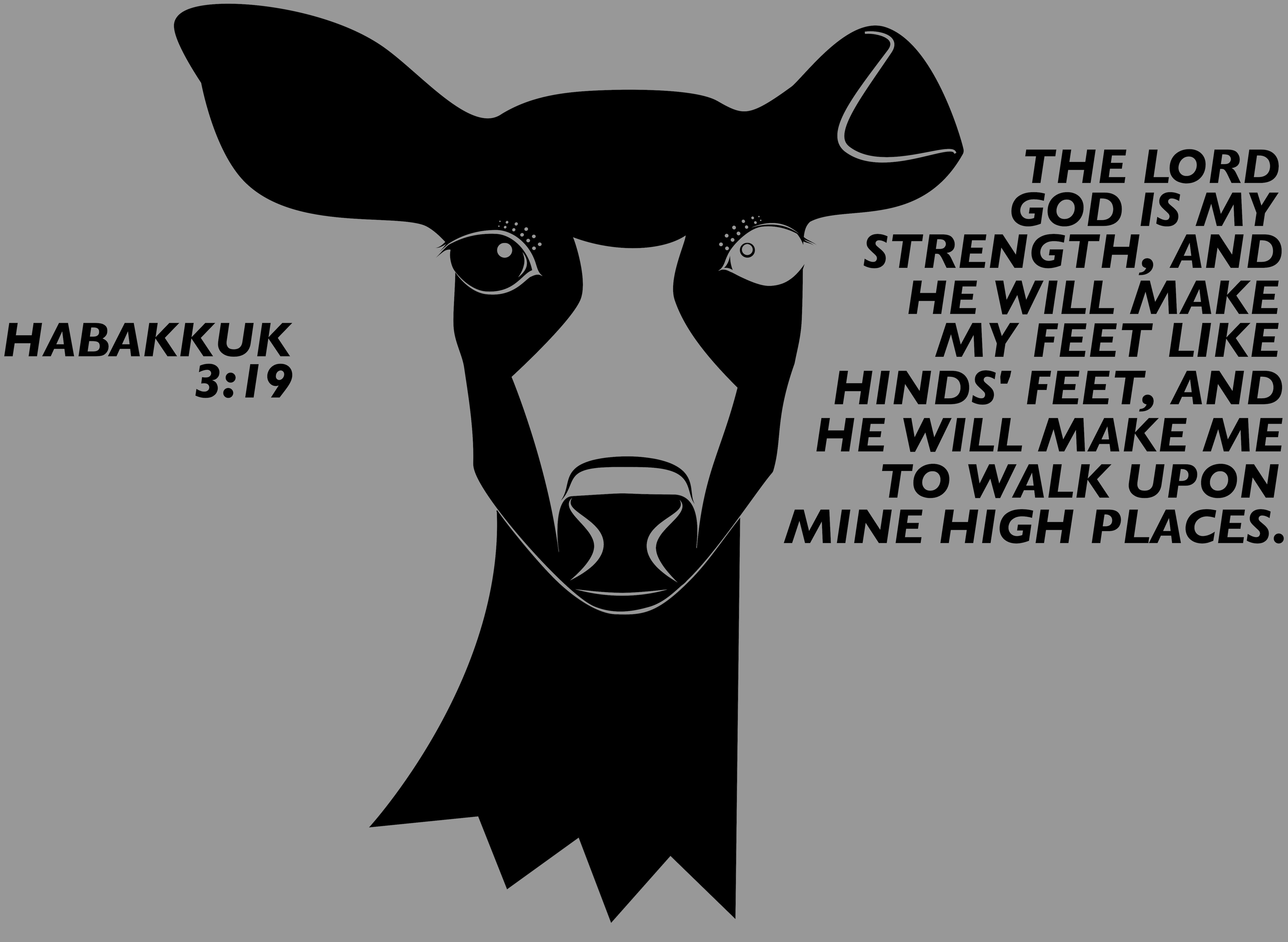 Habakkuk 3:19 Bible Verse Deer T-Shirt - Faith Encouragement Scripture product thumbnail image Habakkuk 3:19 Bible Verse Deer T-Shirt - Faith Encouragement Scripture product thumbnail image