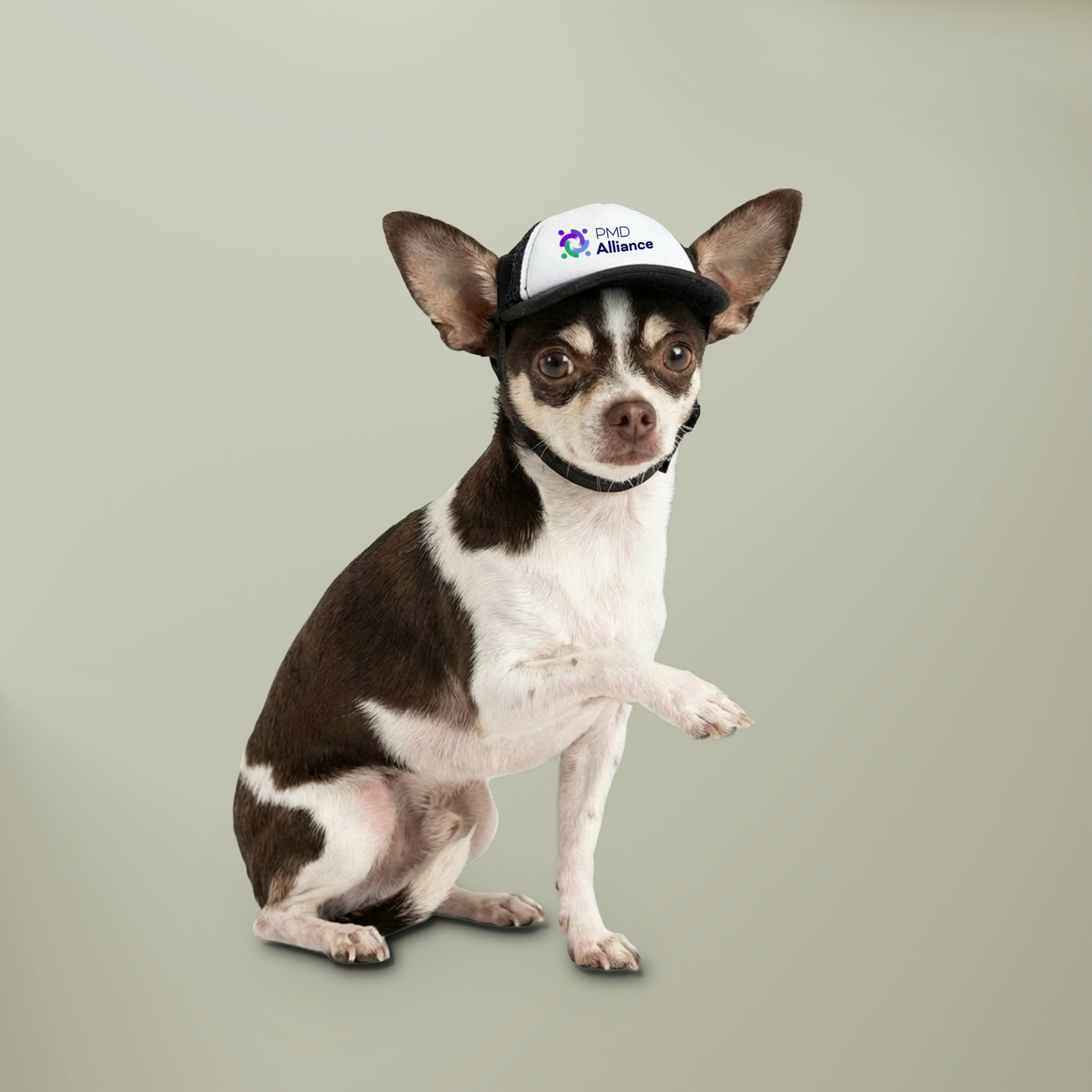 Dog Foam Trucker Hat product thumbnail image Dog Foam Trucker Hat product thumbnail image