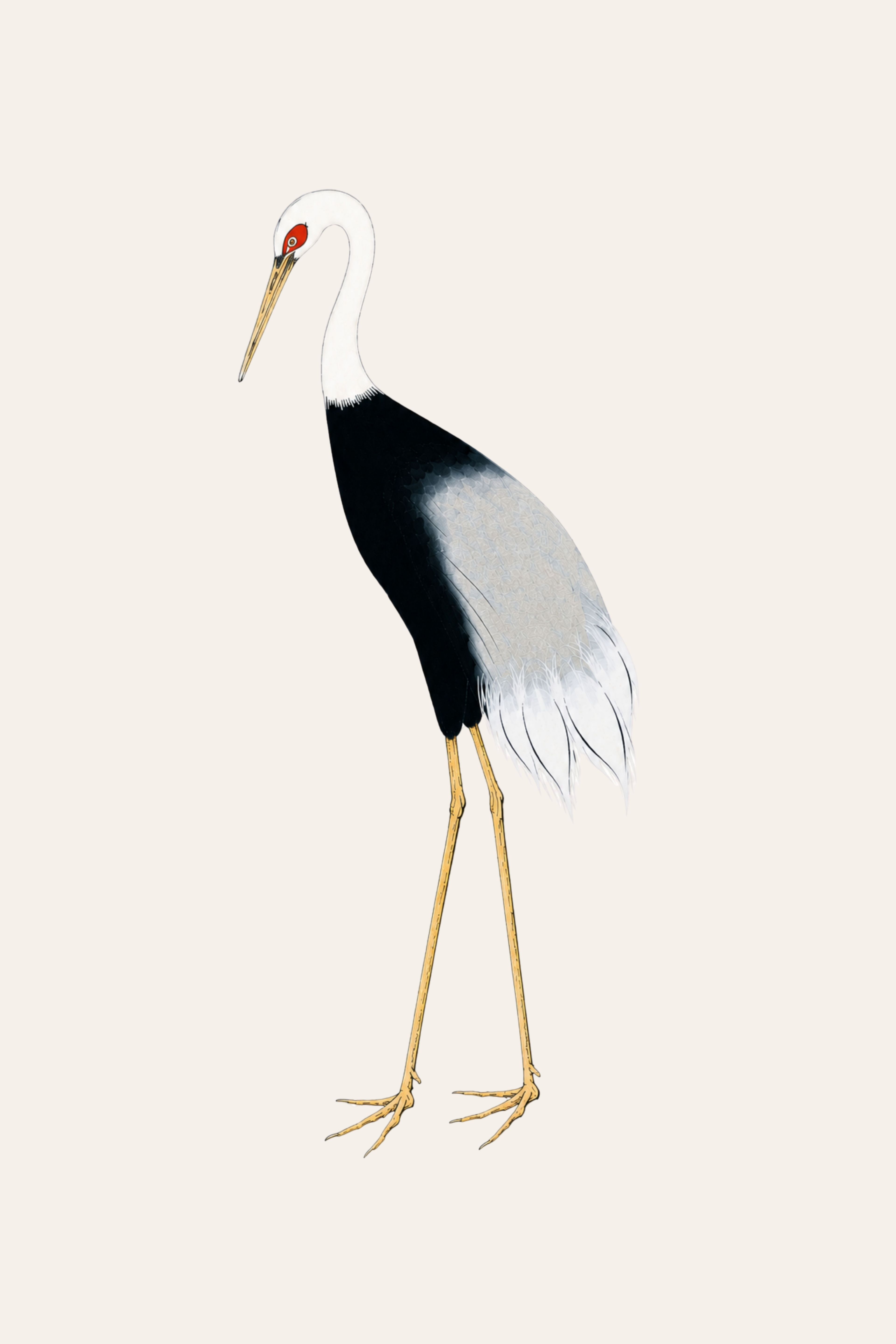 Japanese Crane Study I product thumbnail image