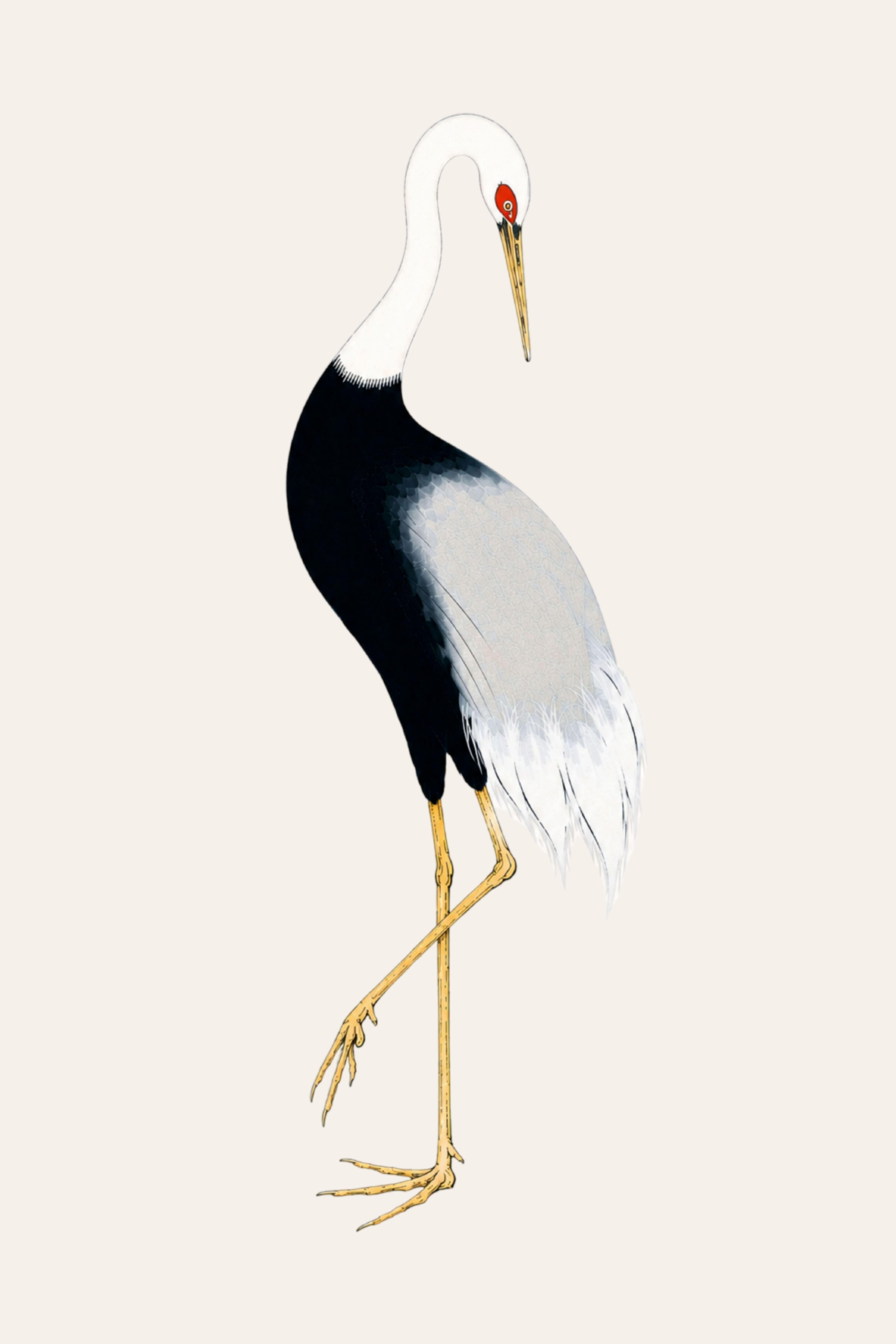 Japanese Crane Study Ii, Original Print, 40" X 60" product thumbnail image